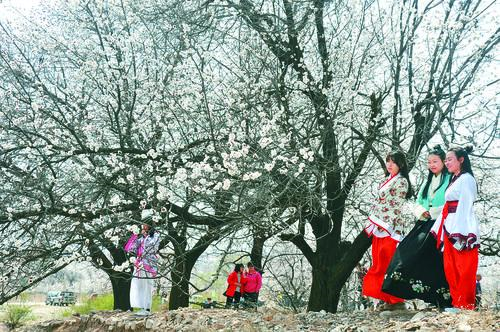 太阳成集团 太阳能光伏电站